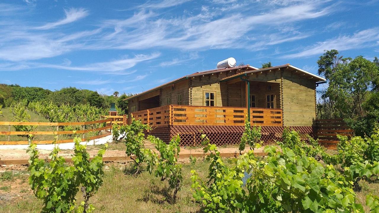 Casa Entre Praias Foz do Arelho Luaran gambar